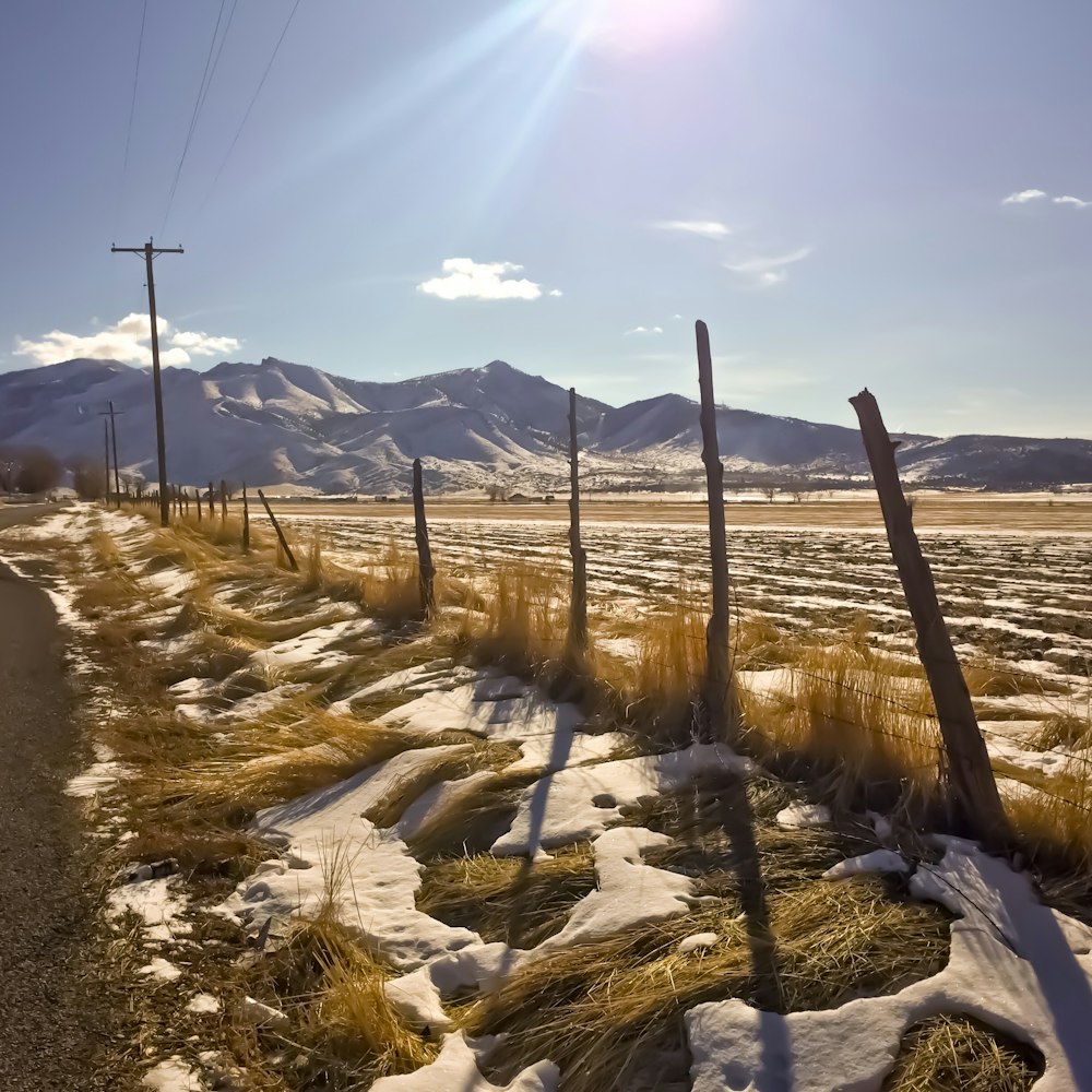 brown wooden fence on brown dirt road during daytime