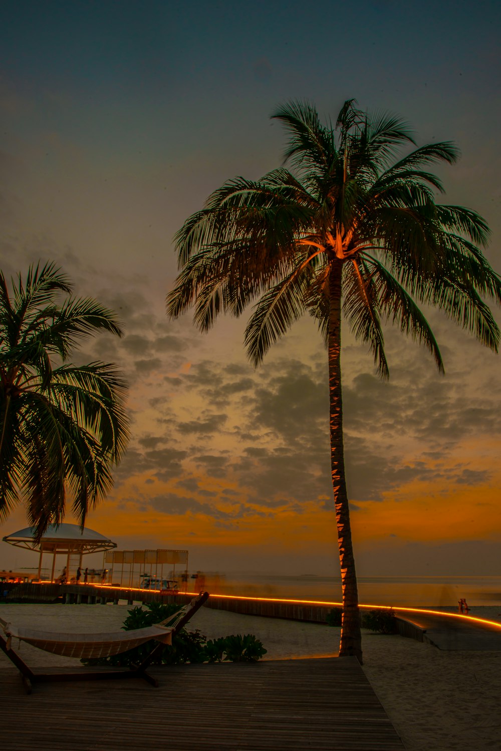 palm tree near body of water during sunset