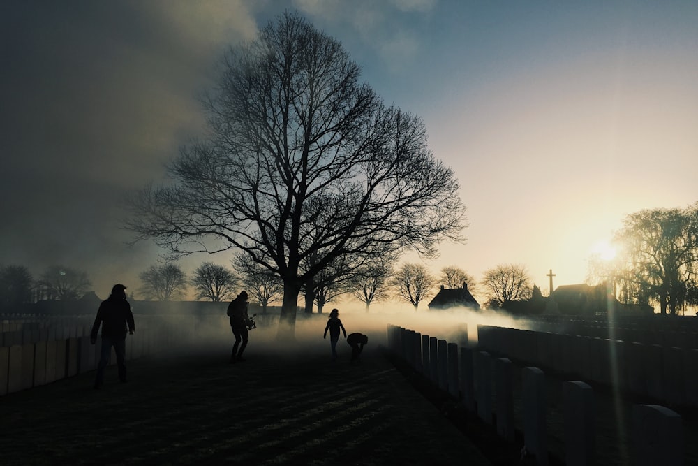 silhouette of 2 person walking on pathway between bare trees during daytime