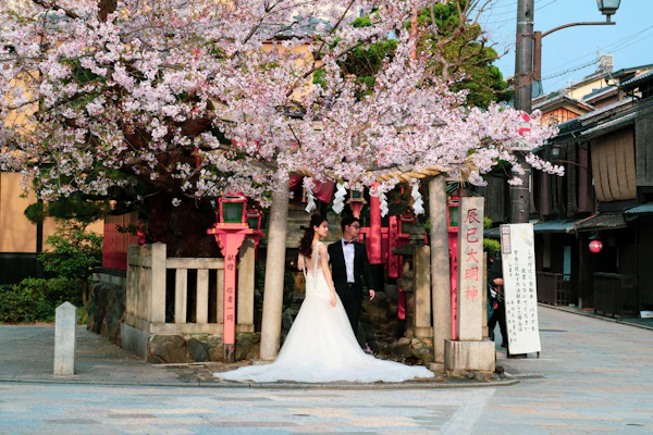 A bride under cherry blossoms on a Kyoto street