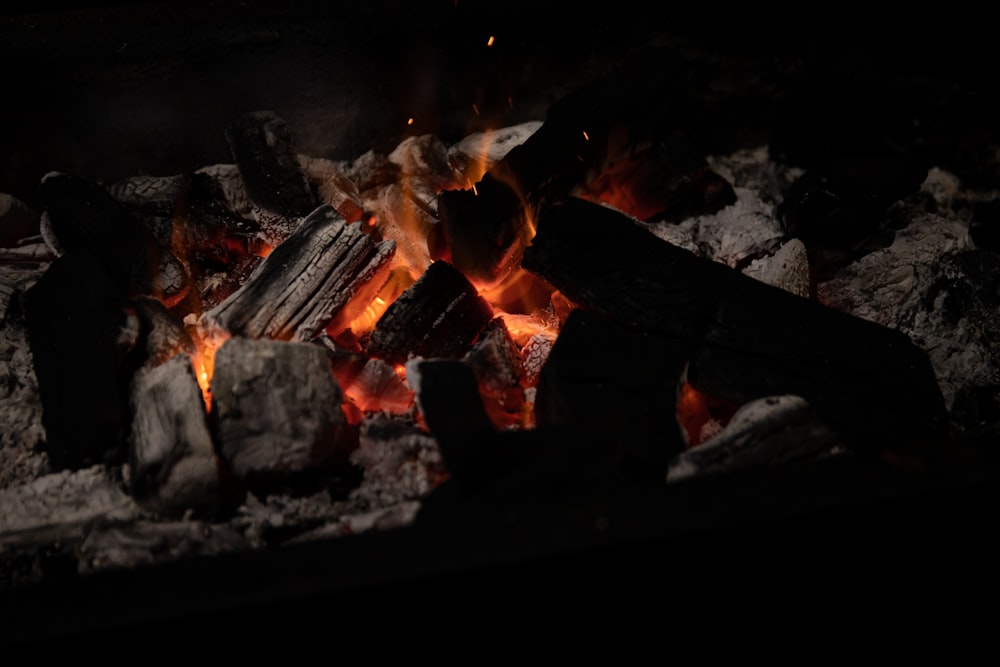 burning wood on fire pit