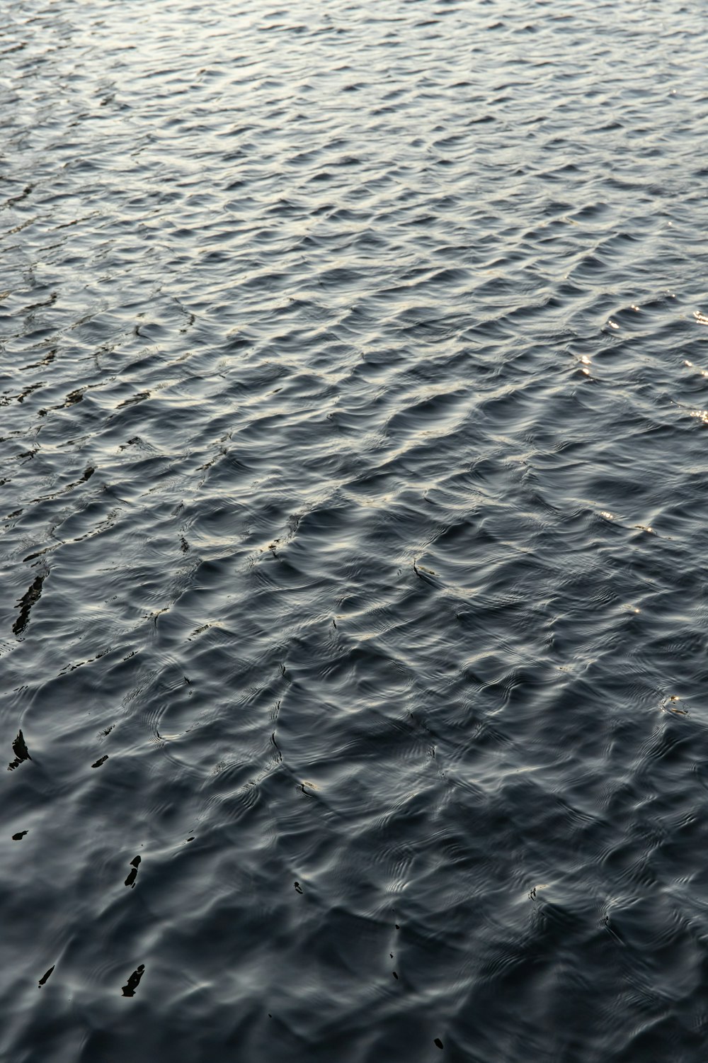 white sand with water during daytime