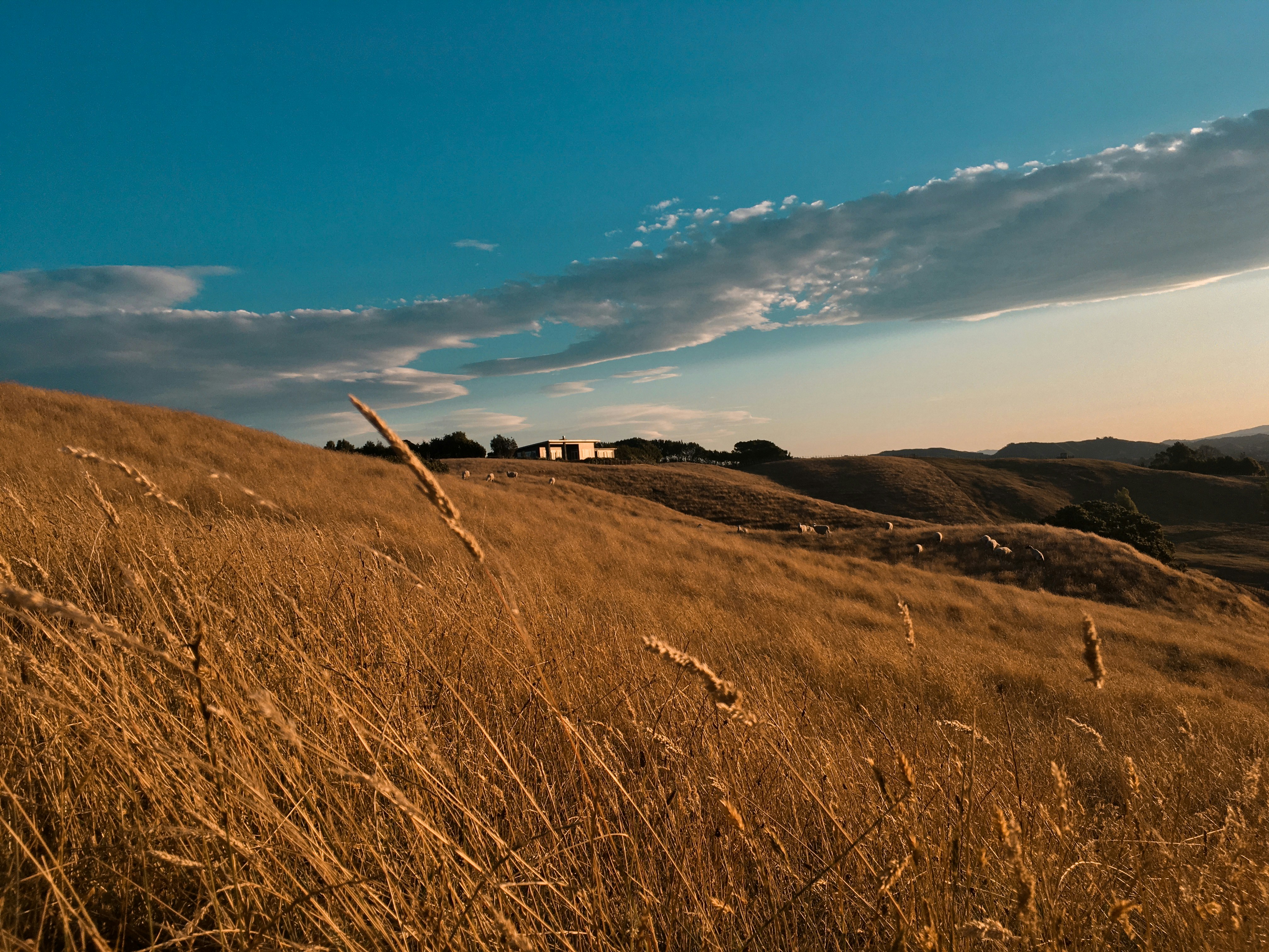 Photo by benjamin_mcbeth