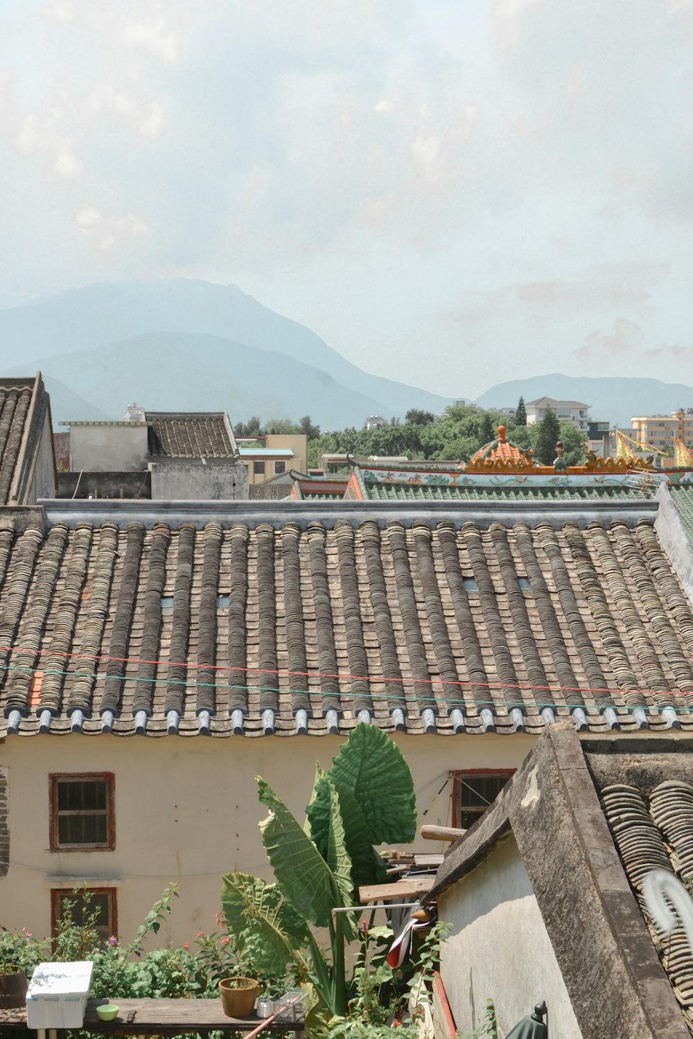 brown roof tiles near green trees during daytime