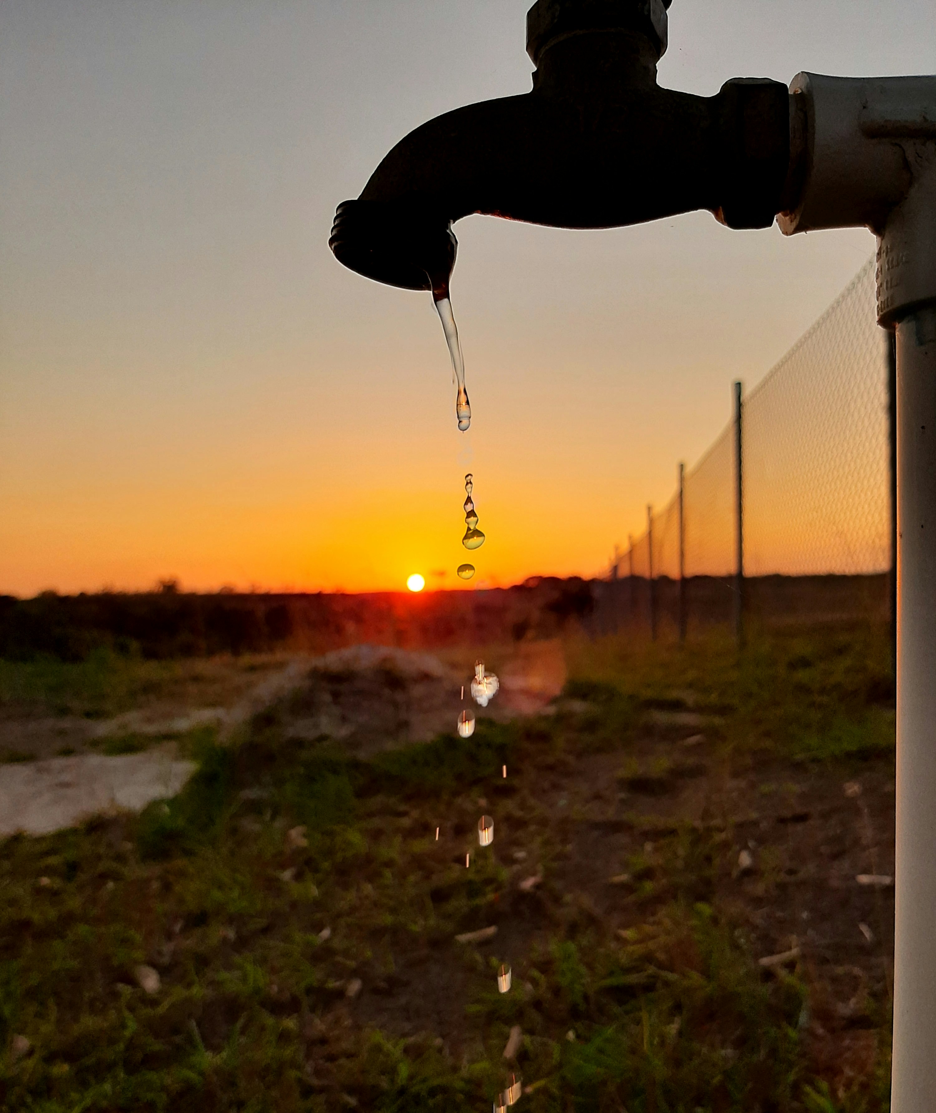 Photo by lusinioserrano