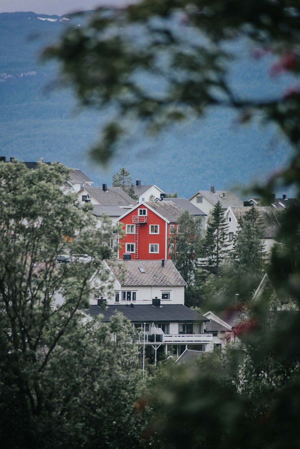 white and red house surrounded by green trees under blue sky during daytime