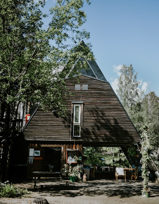 brown wooden house near green trees during daytime in Jokkmokk Sweden