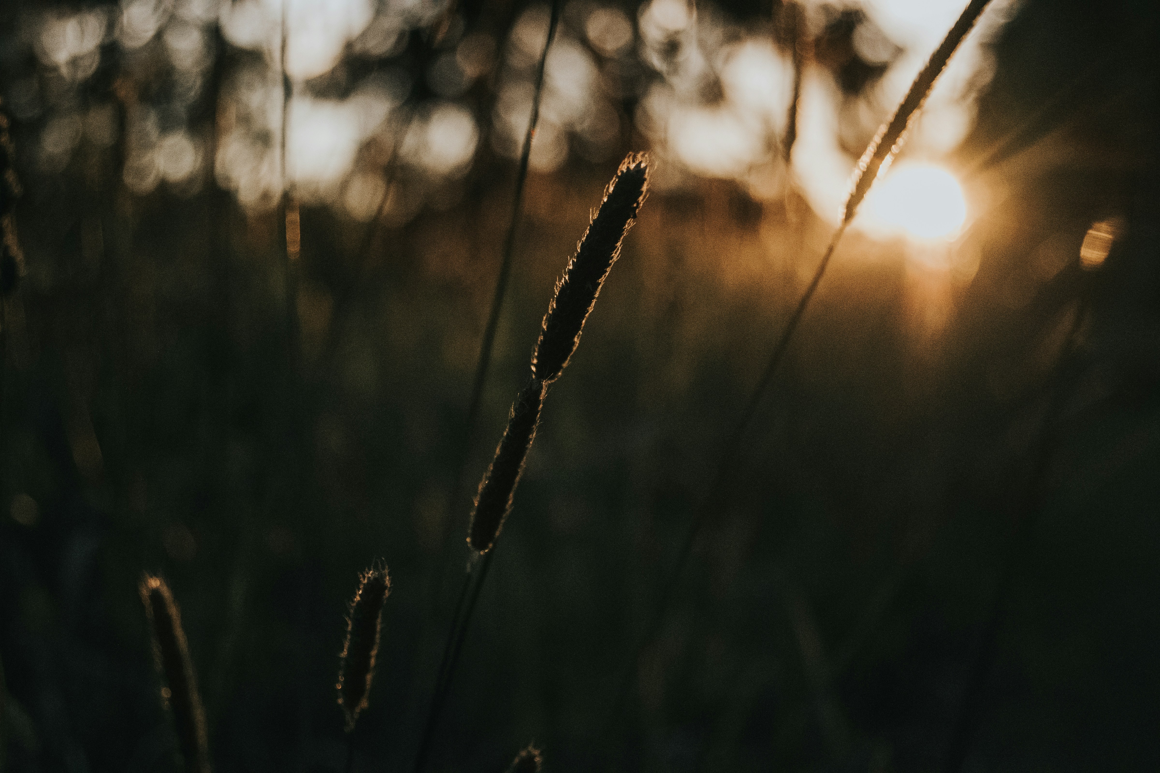 Photo by seitamaaphotography