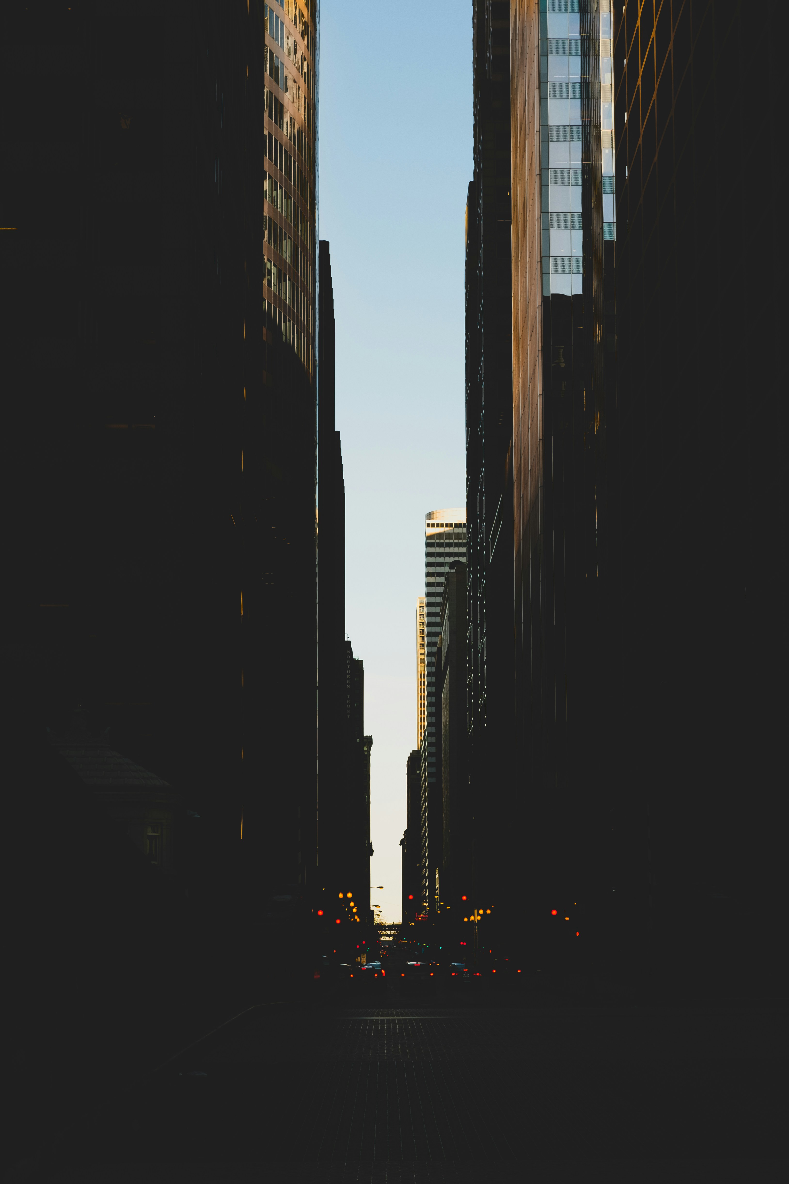 Photo by goodbetterbetts