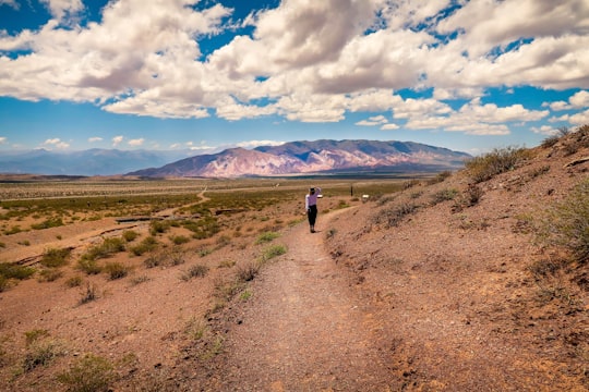 person in black jacket walking on brown dirt road during daytime in Jujuy Argentina