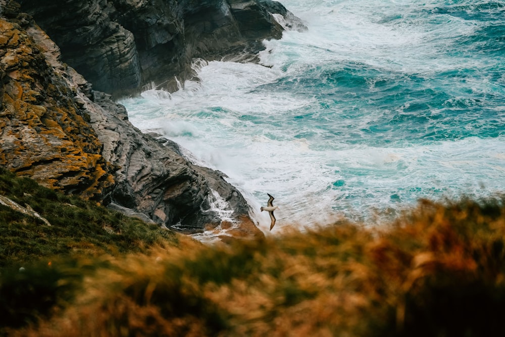 Persona parada en la roca cerca del cuerpo de agua durante el día