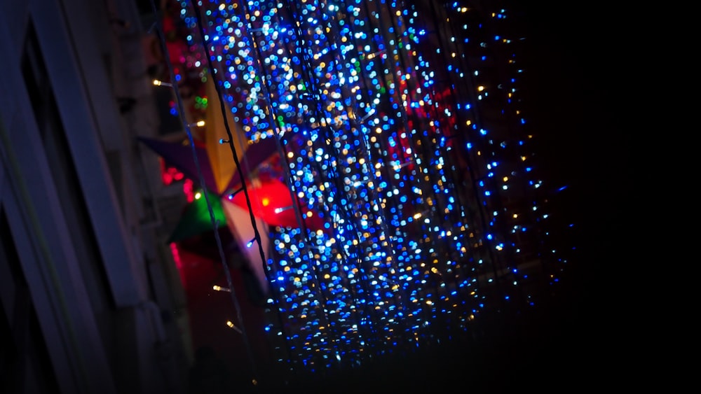 blue and red string lights