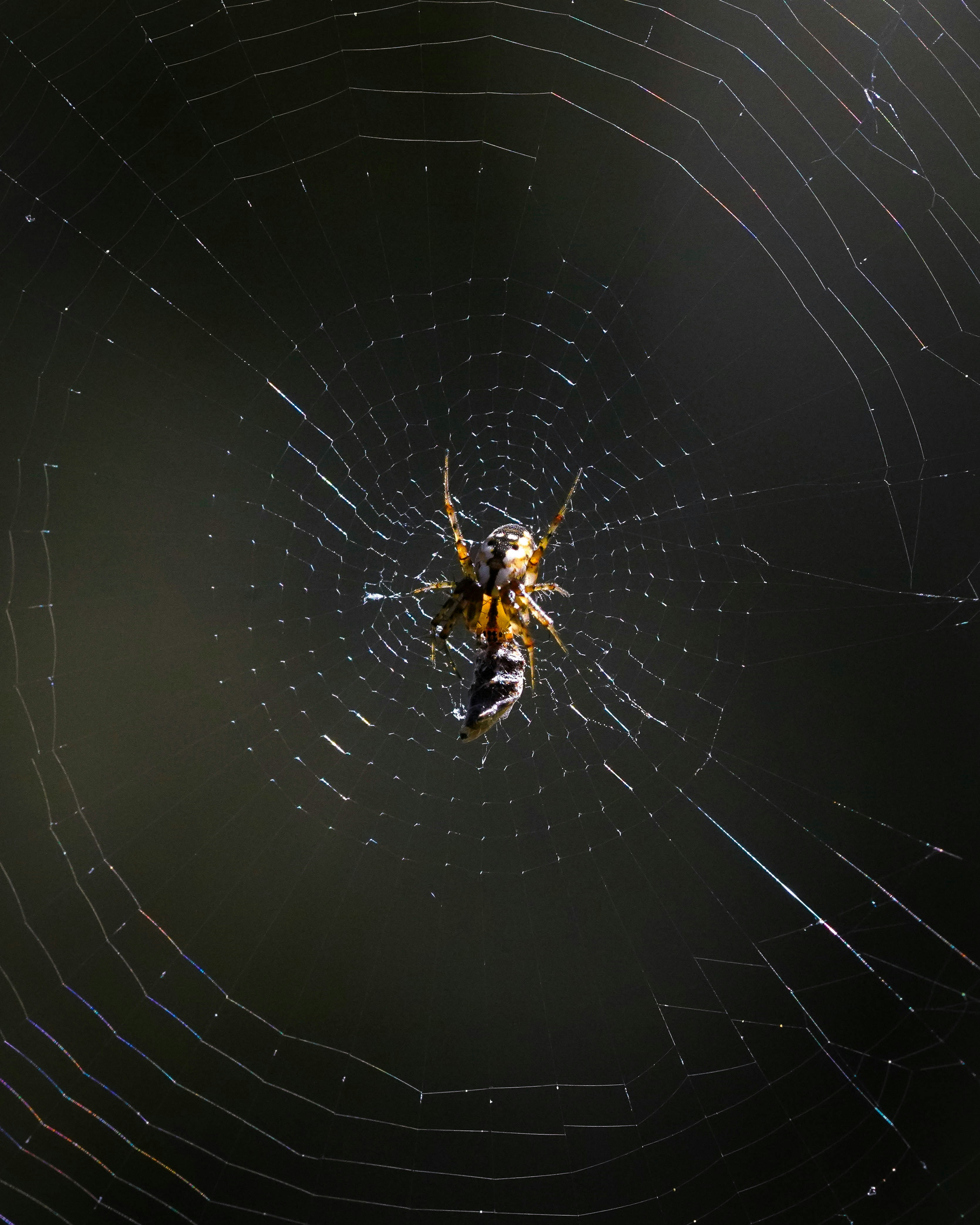 Photo by joshddurham