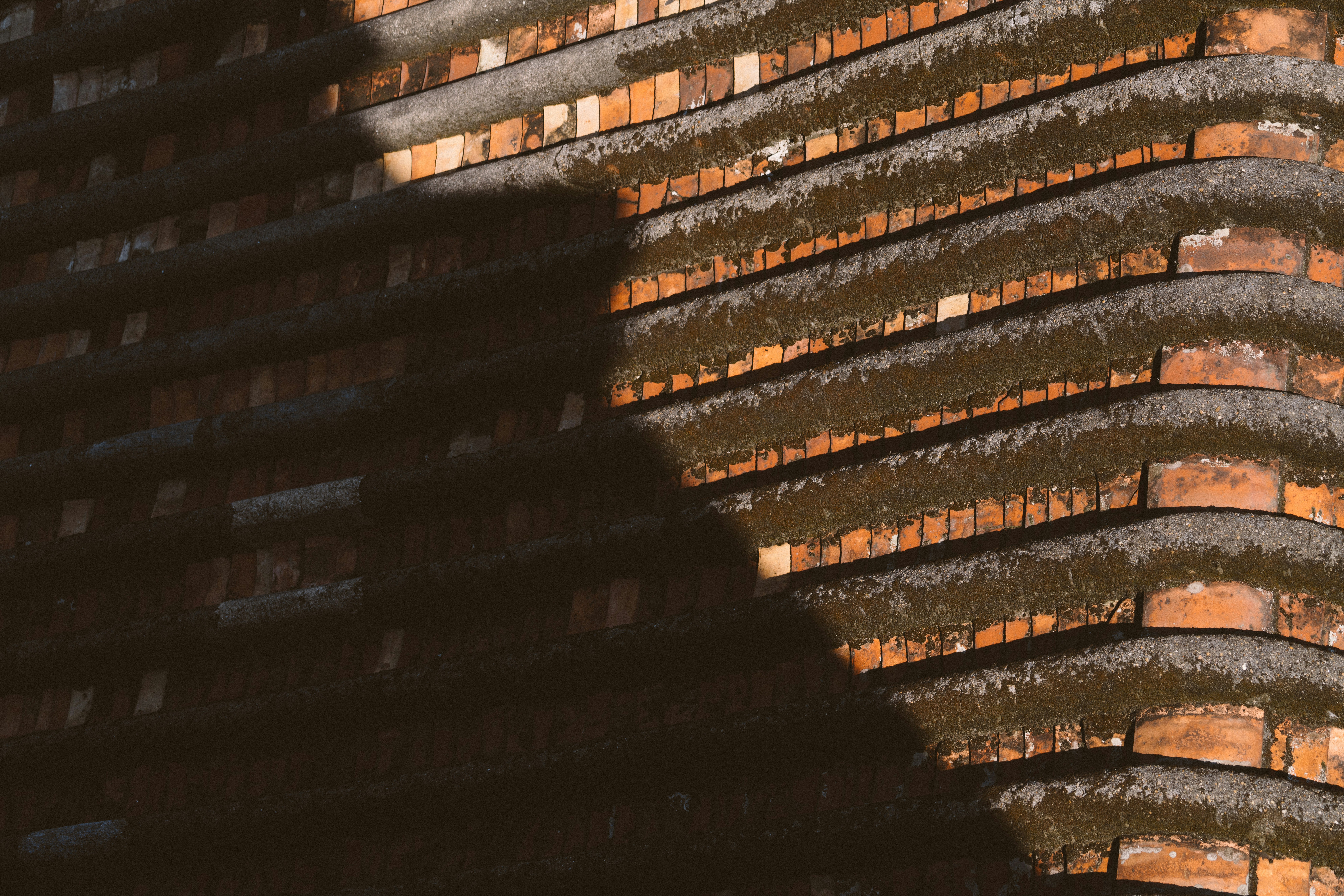 Photo by maybeimdreaming