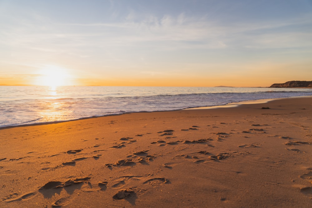 brown sand beach during sunset