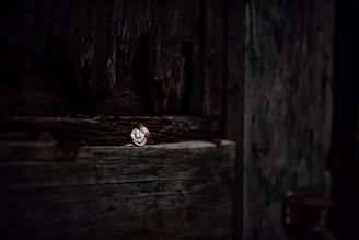 Close-up of a rugged silver ring etched with ancient runes, resting on a weathered wooden surface.