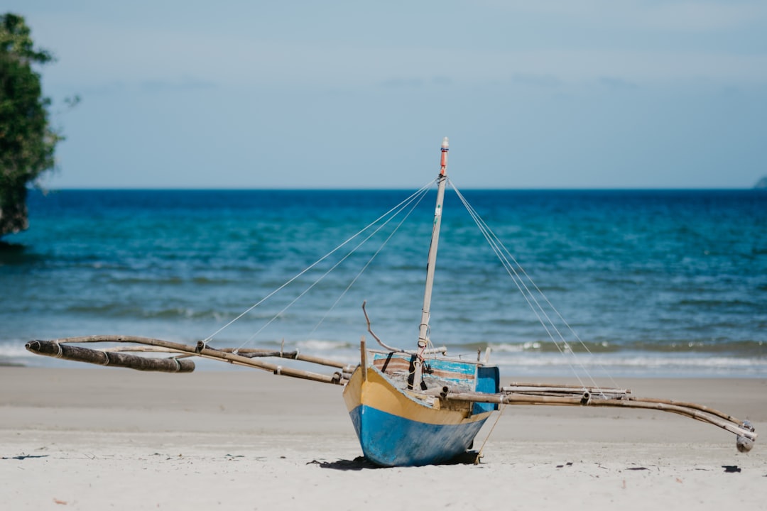 blue and brown boat on beach during daytime