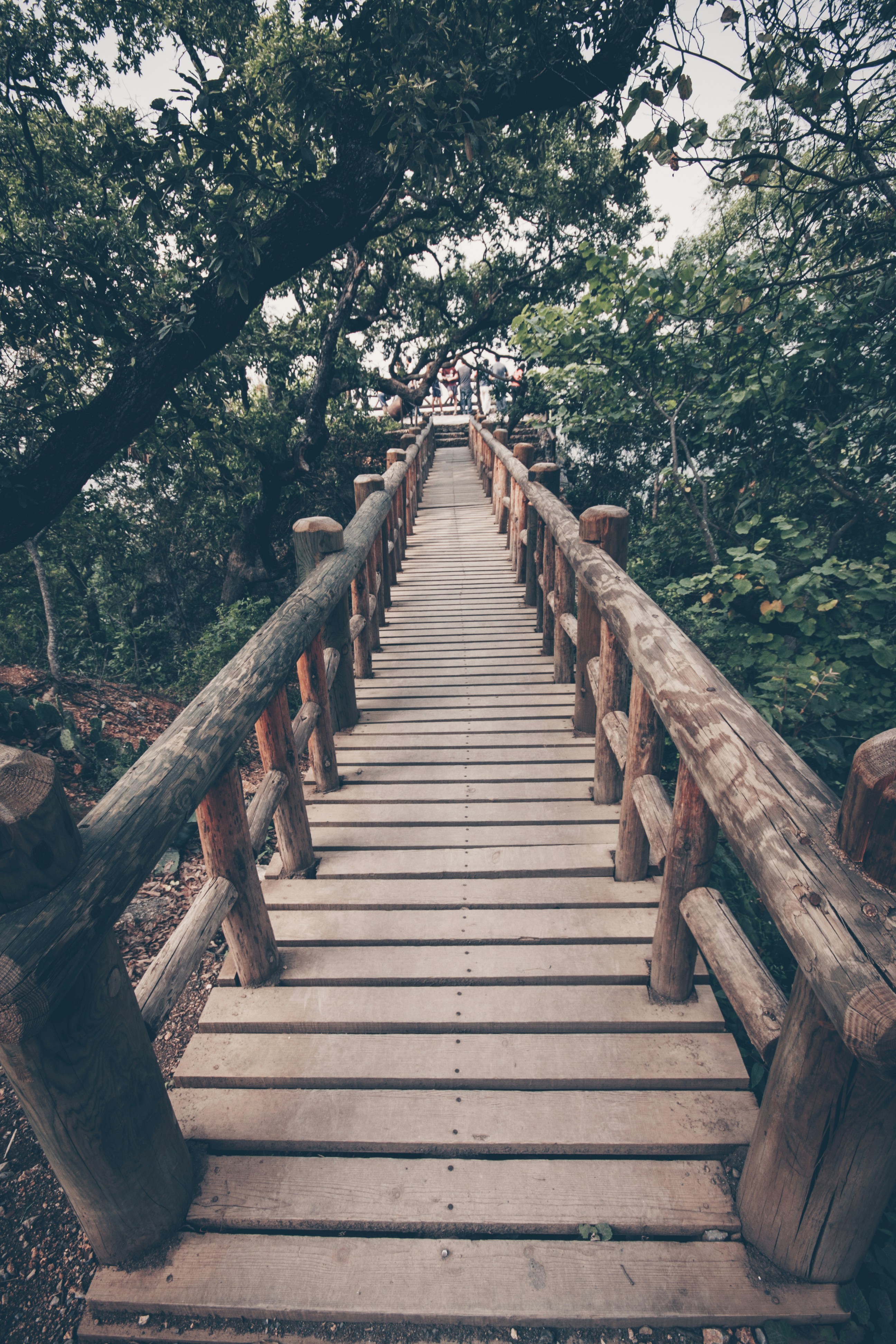 Photo by eduardocanophotoco