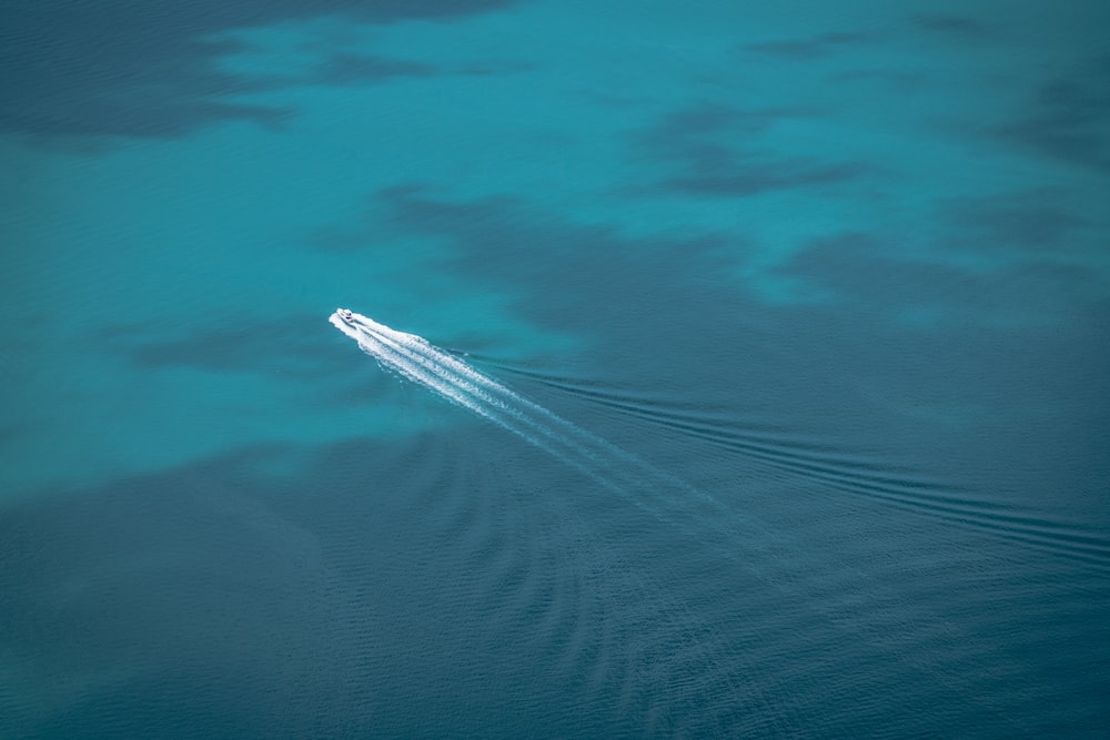 white boat on blue water