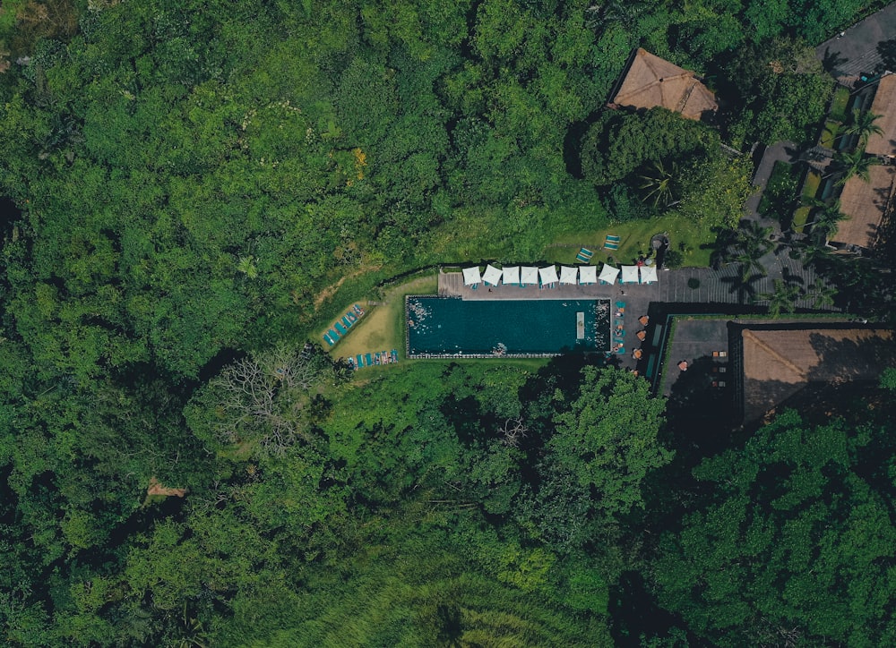 aerial view of green trees and brown and white house