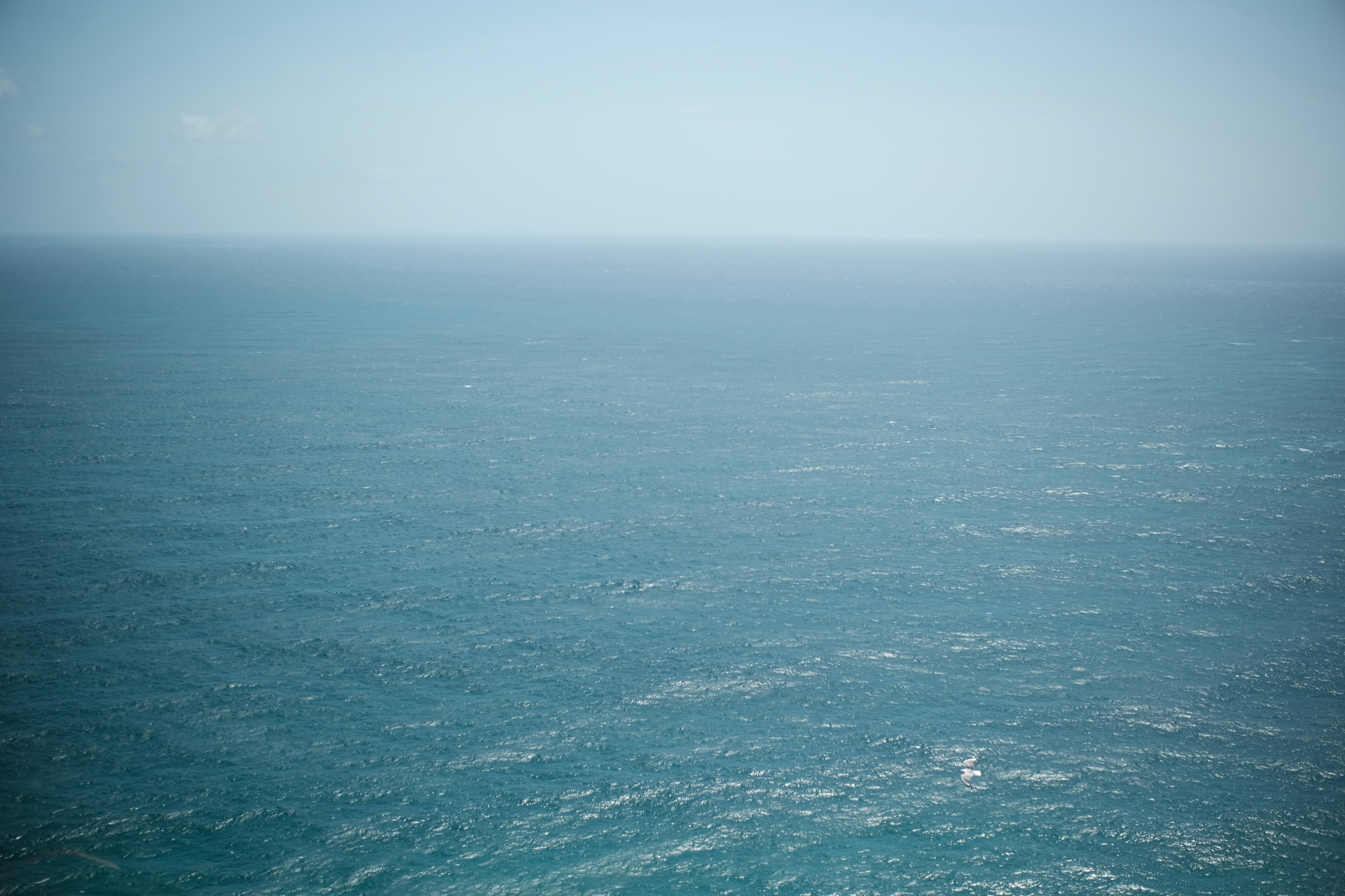 Photo by eliotslevin