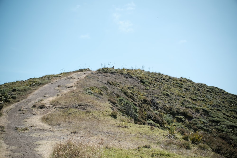 green grass on hill under blue sky during daytime