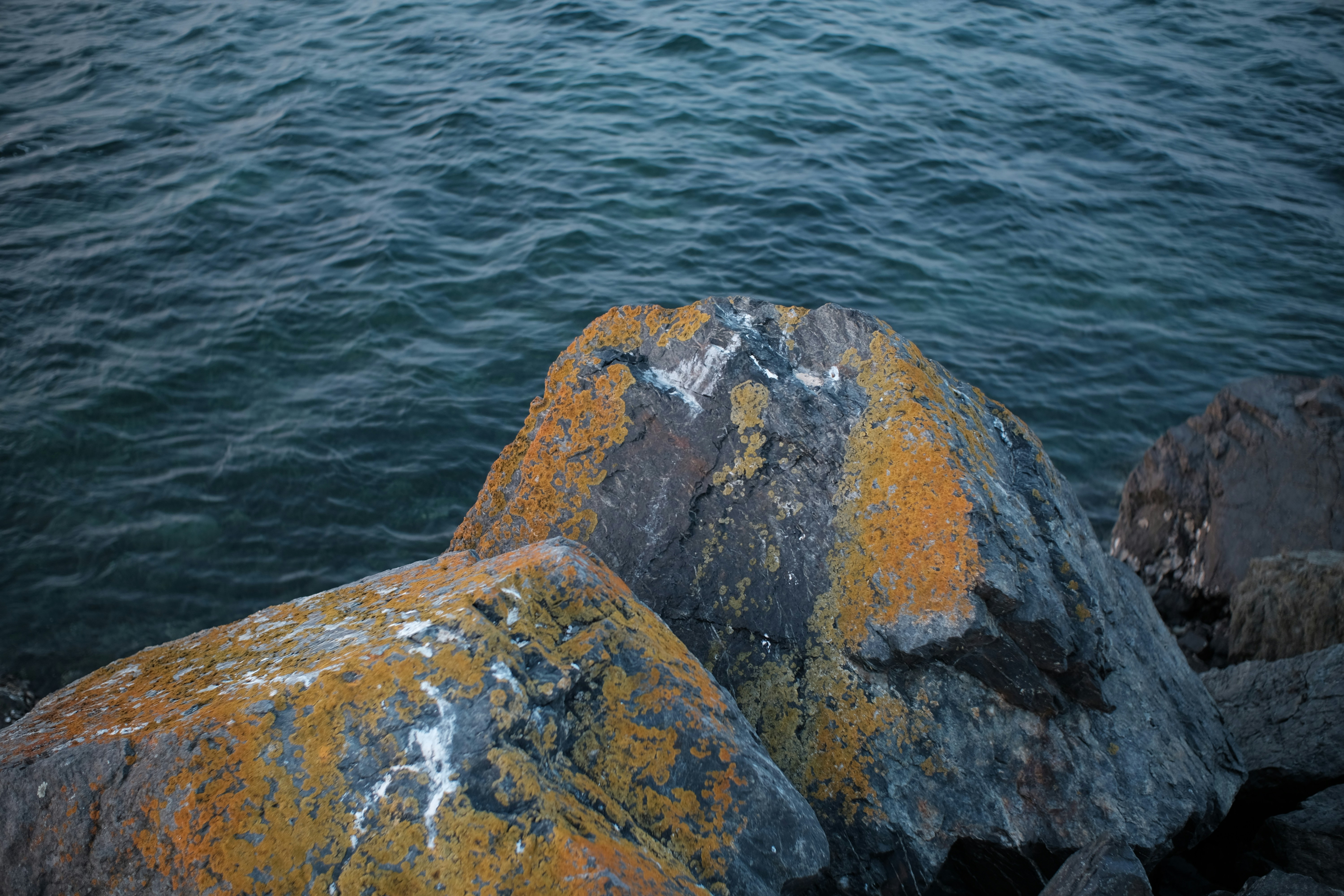 Photo by eliotslevin