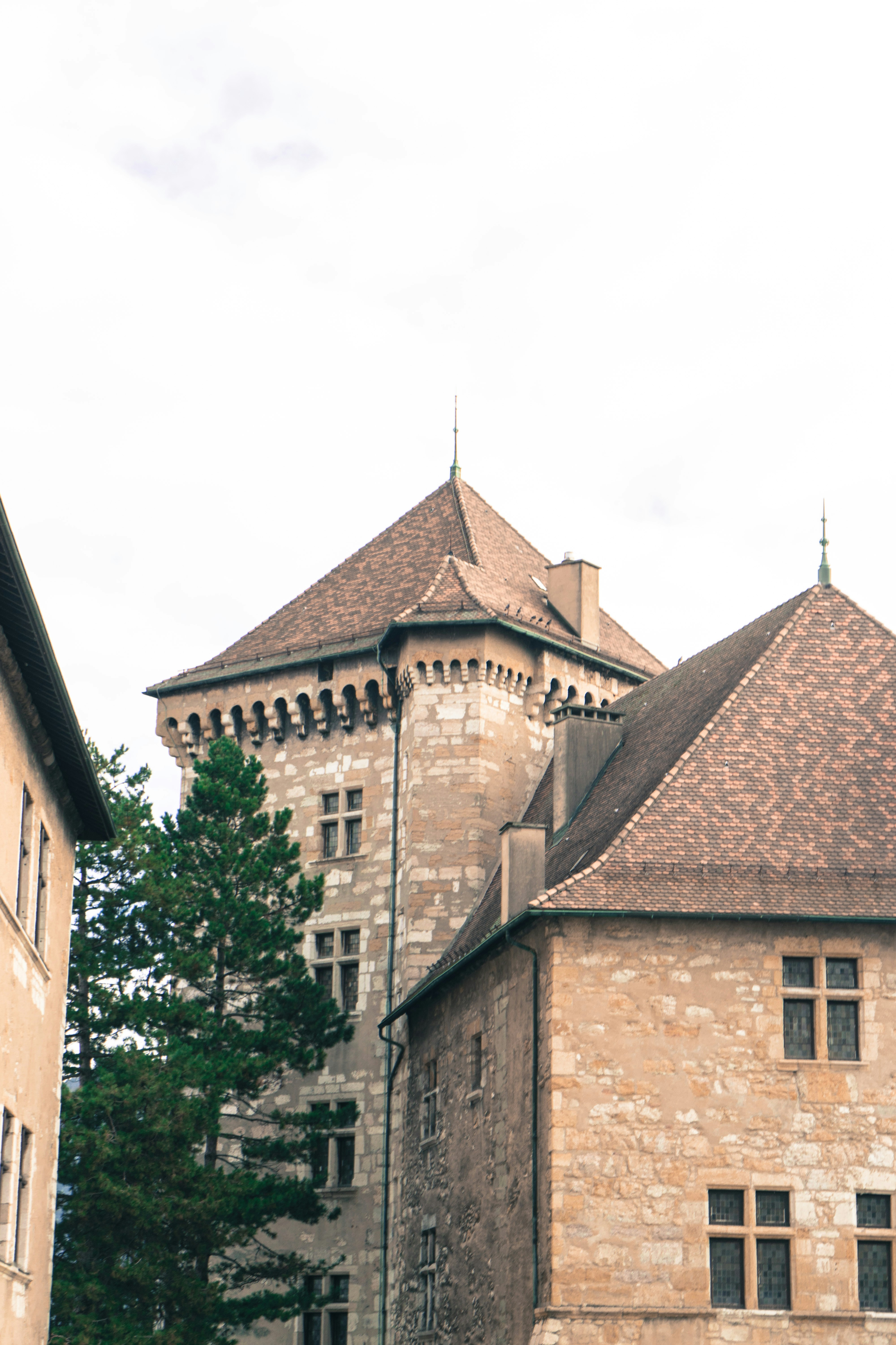 Photo by virussinside