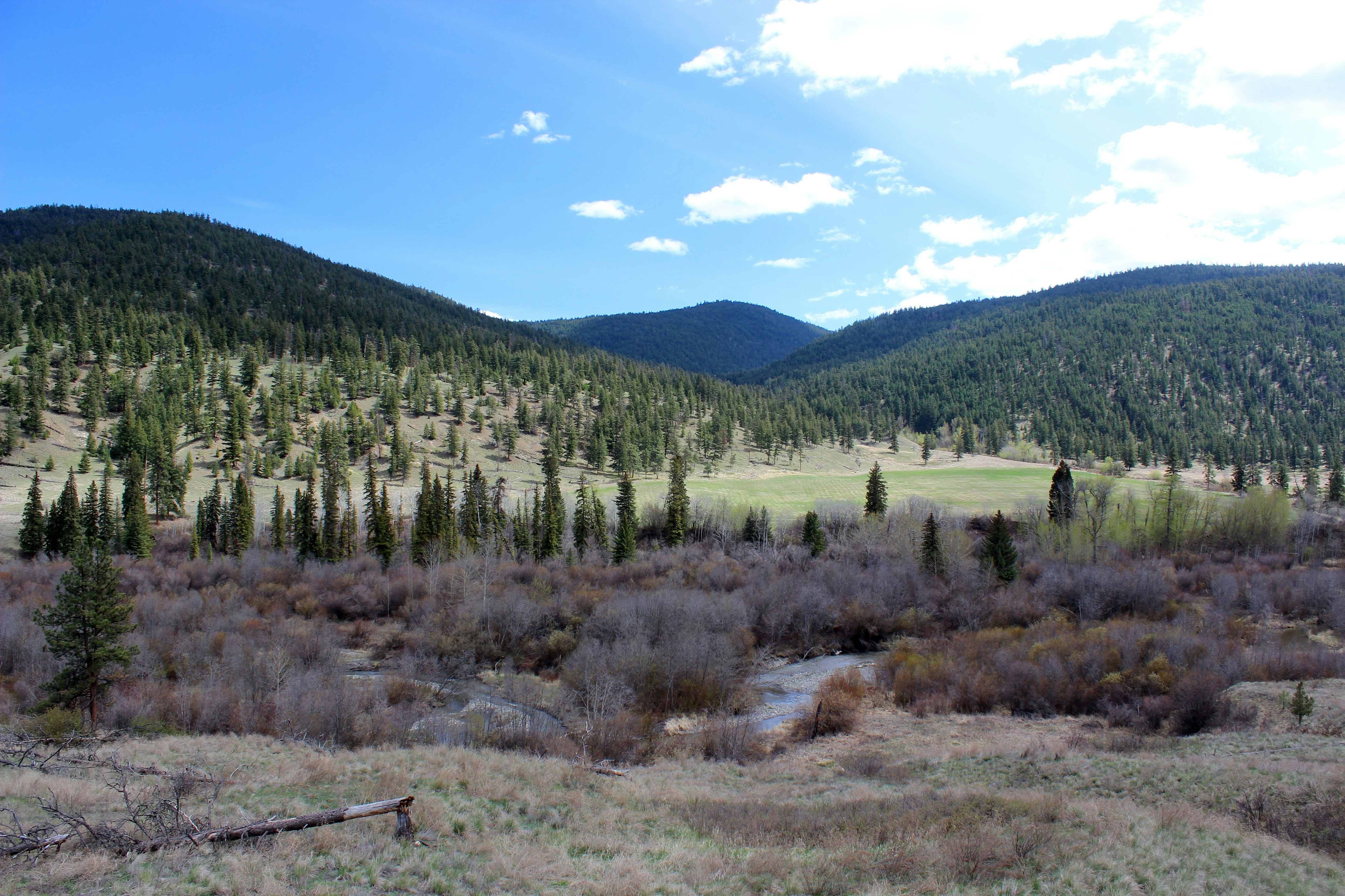Turkey Creek State Wildlife Area