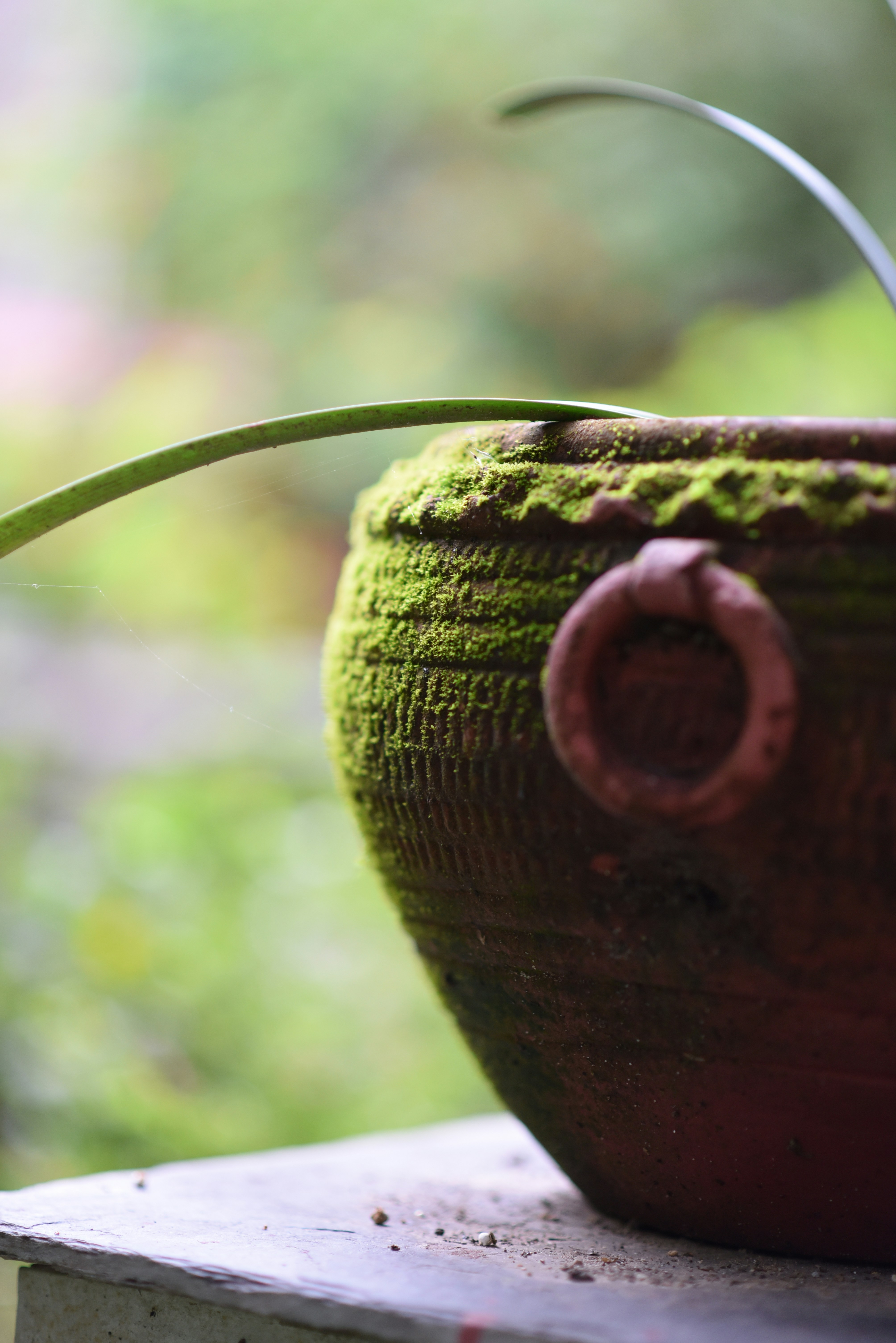 green and brown round metal