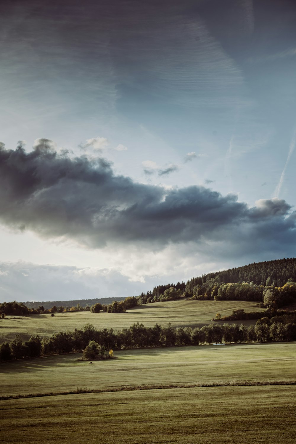 green grass field under cloudy sky during daytime