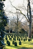 Wide shot of the cemetery with neatly arranged graves and shaded trees.