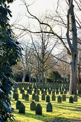 Wide shot of the cemetery with neatly arranged graves and shaded trees.