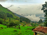 Top Fine Dining Restaurants in Ooty for a Truly Special Meal