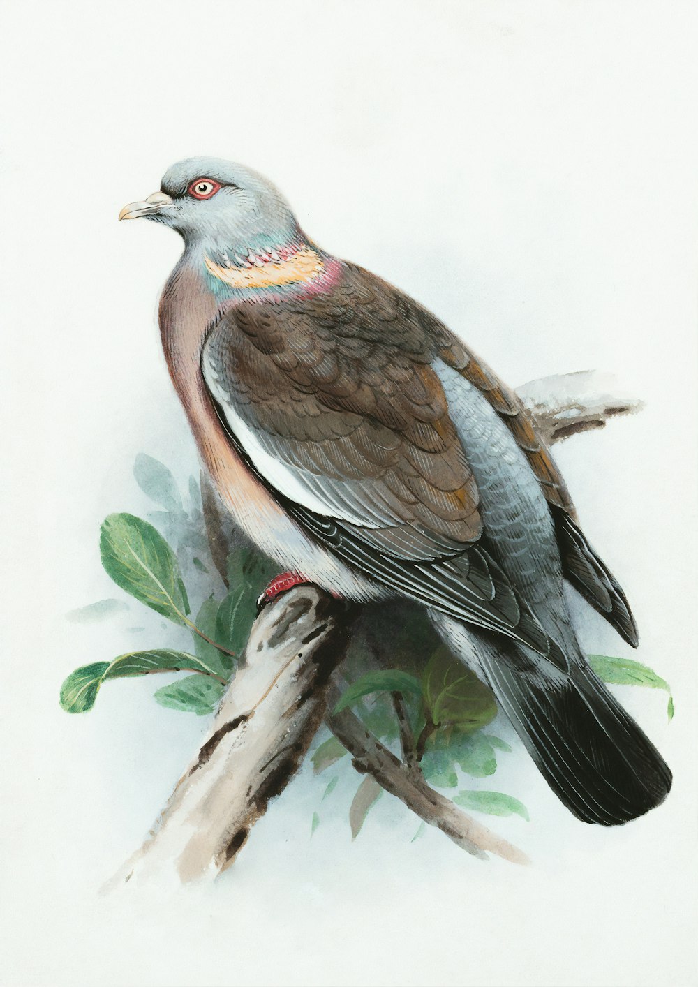 brown and gray bird on tree branch