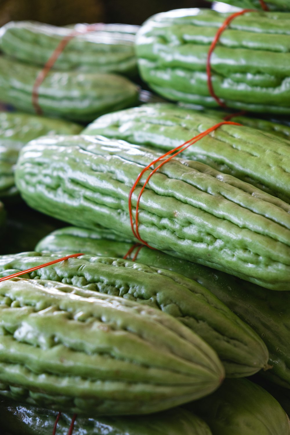 green and red vegetable leaves