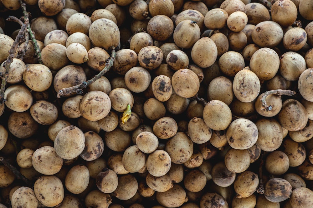 brown and black round fruits