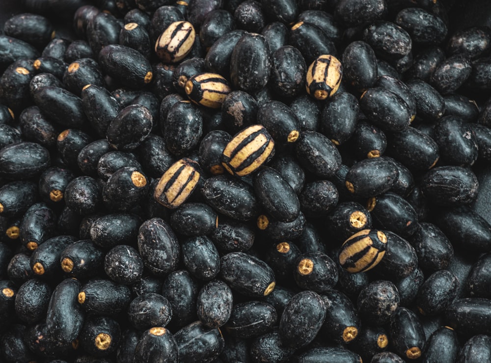 black and yellow round fruits