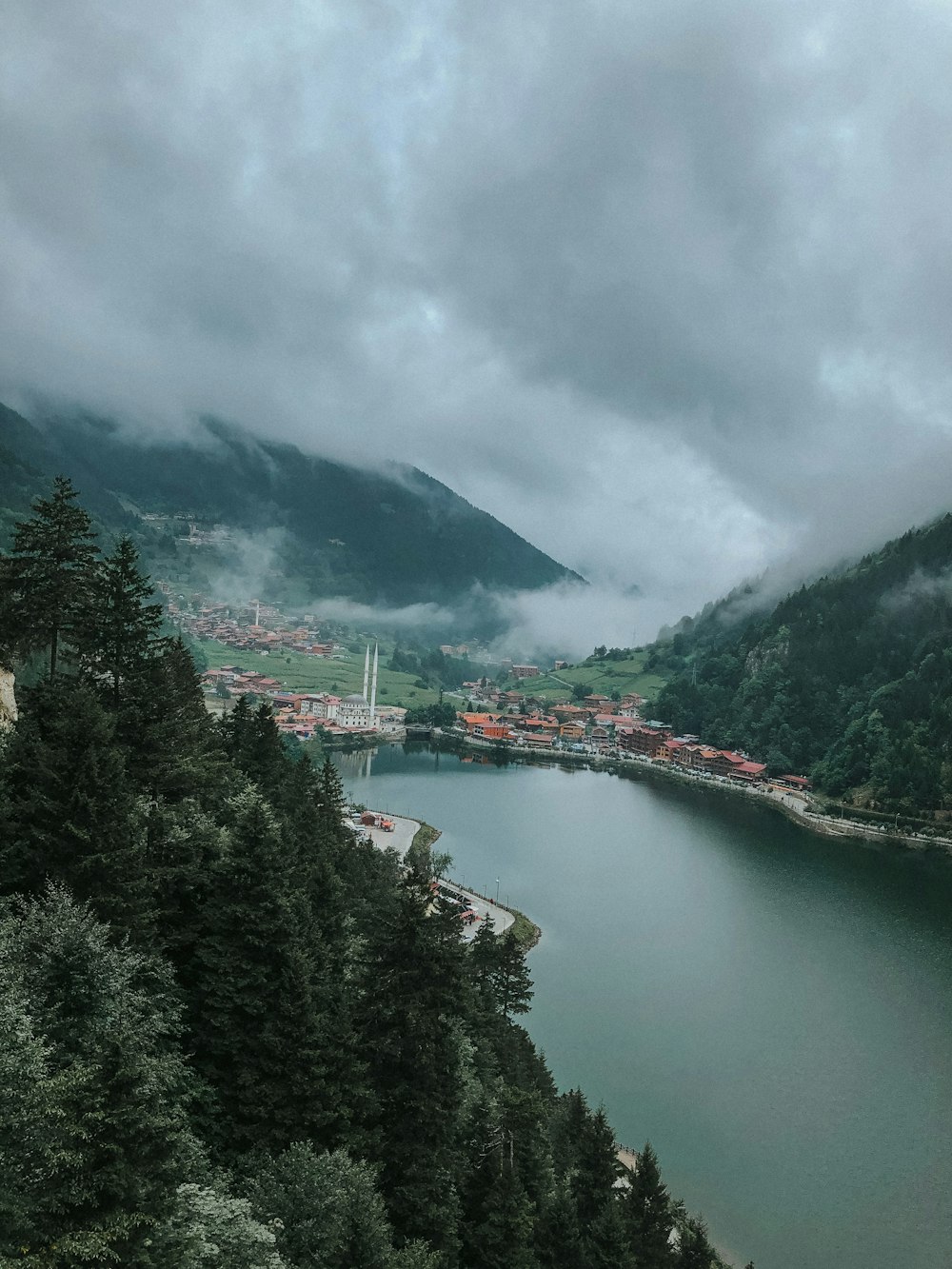 green trees near body of water under cloudy sky during daytime