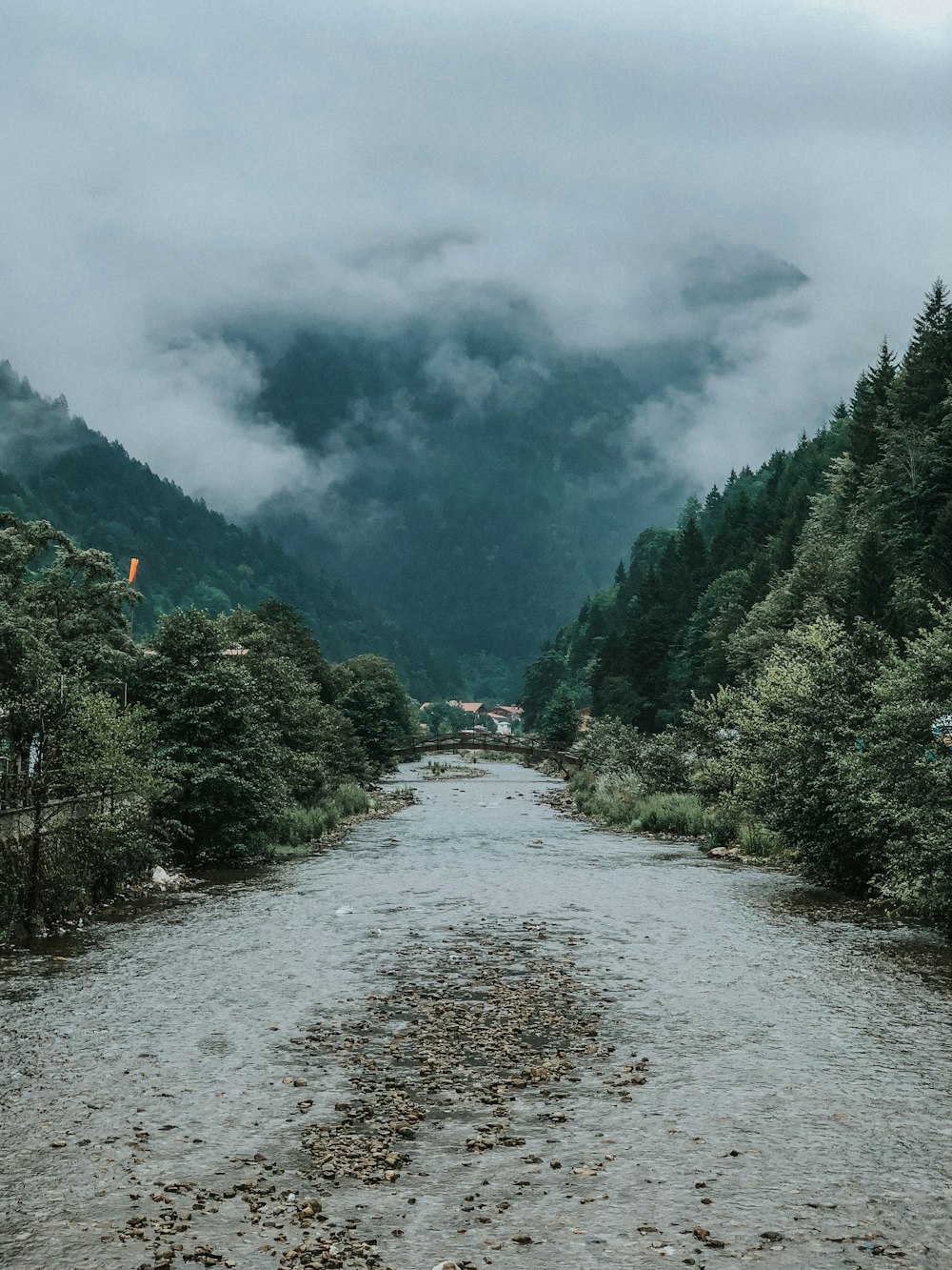 green trees and mountains under cloudy sky during daytime