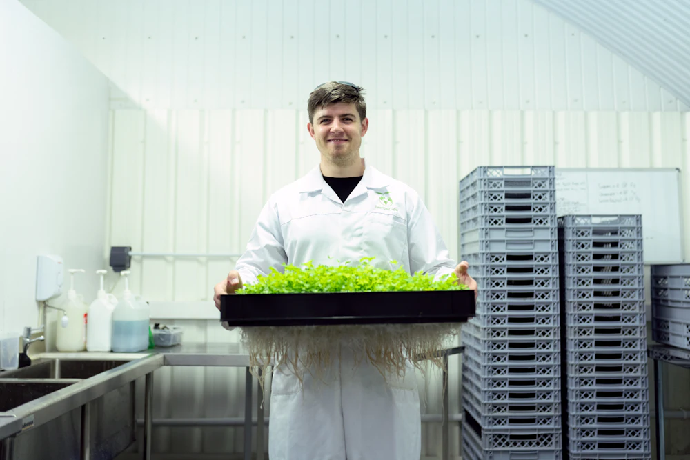A laboratory technician carrying a tray of seedlings in a research facility