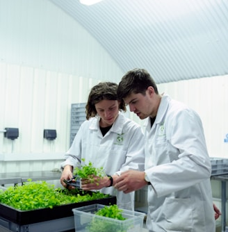 2 men in white dress shirt holding green plant