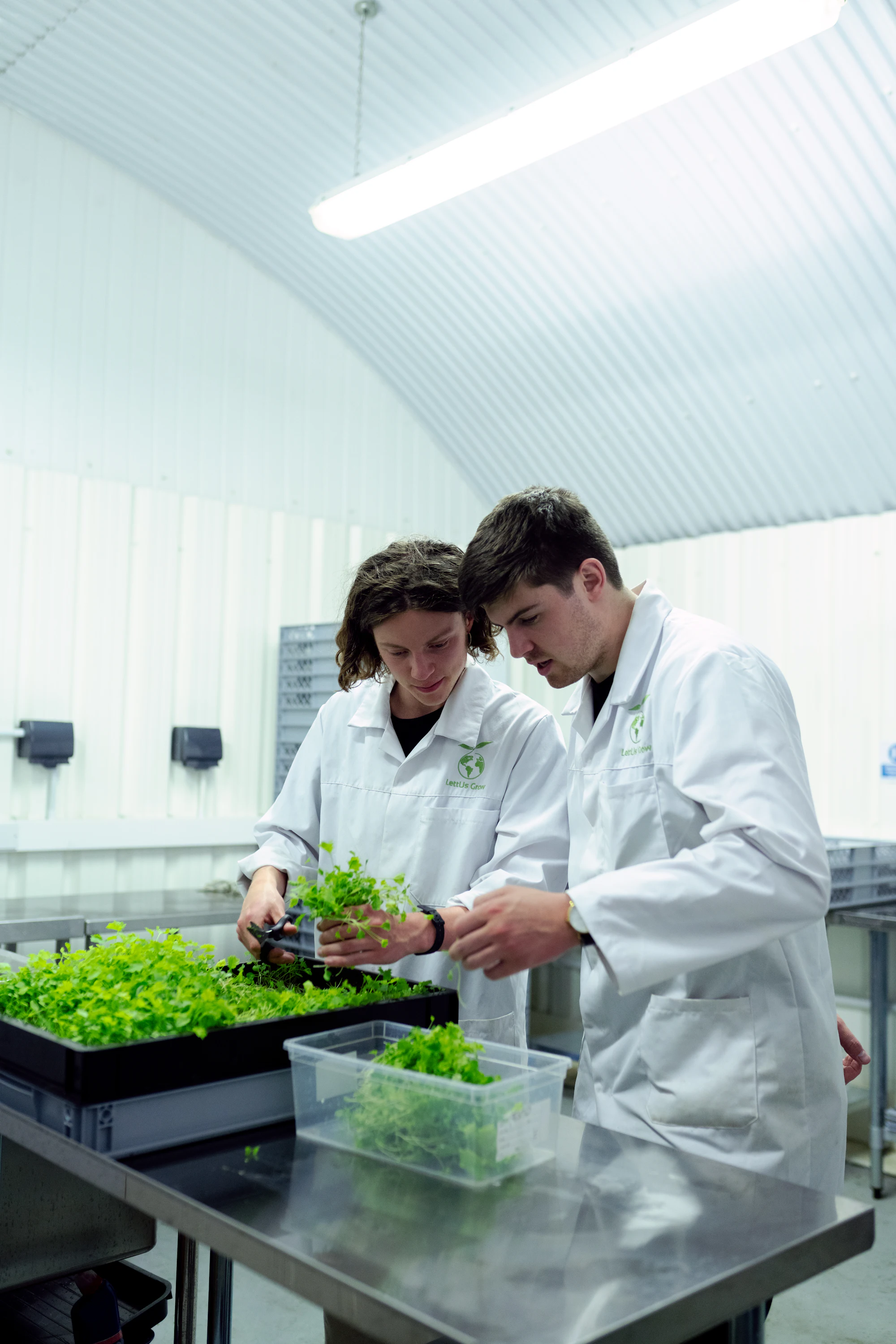 Technicians in white coats examining seedling trays in a laboratory