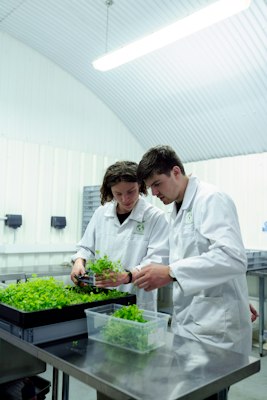 Operations team packing products