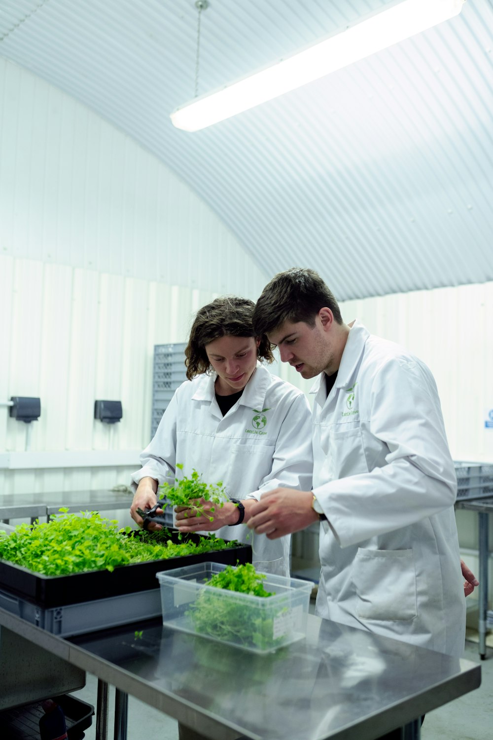 2 men in white dress shirt holding green plant