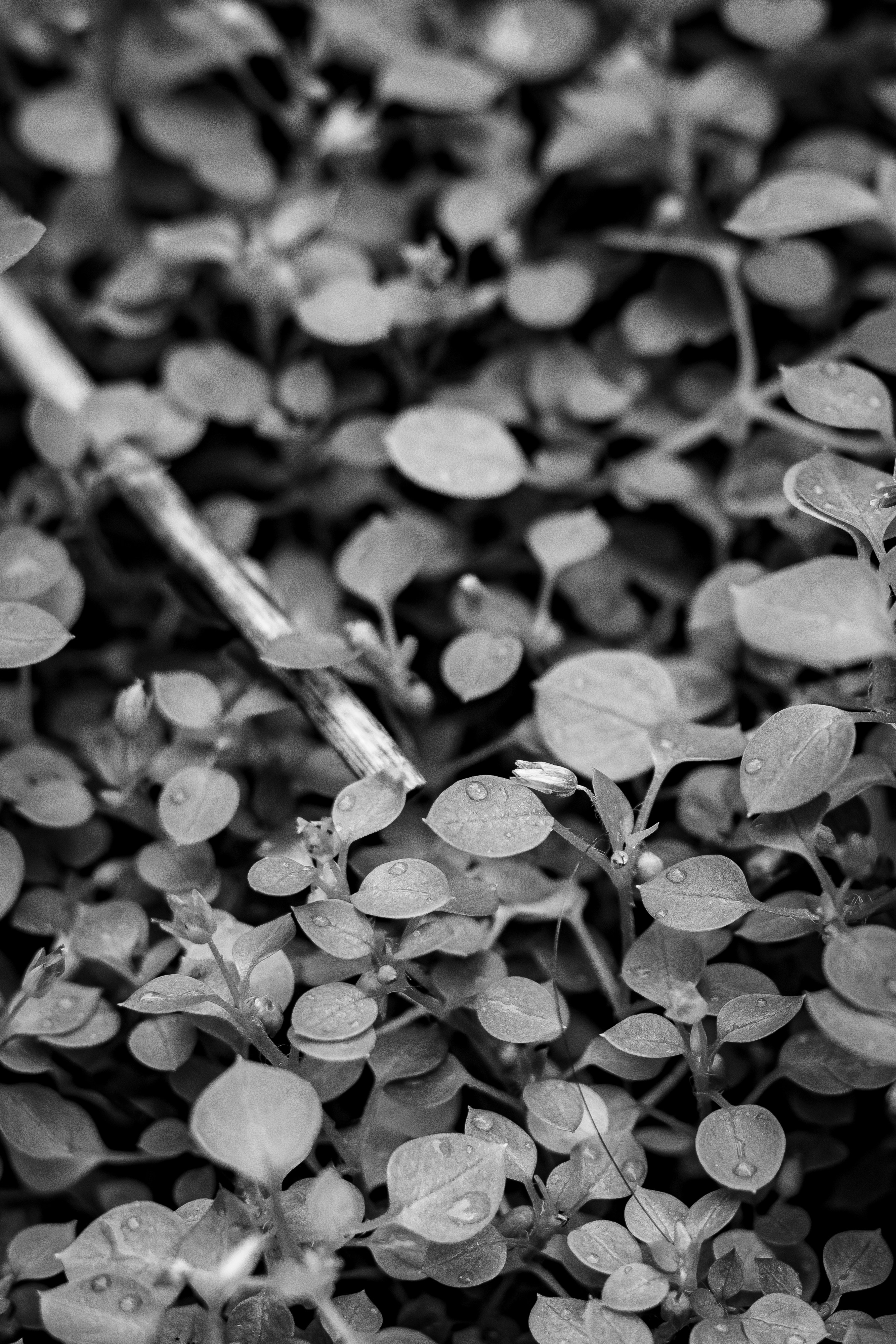 Photo by hellenicsun