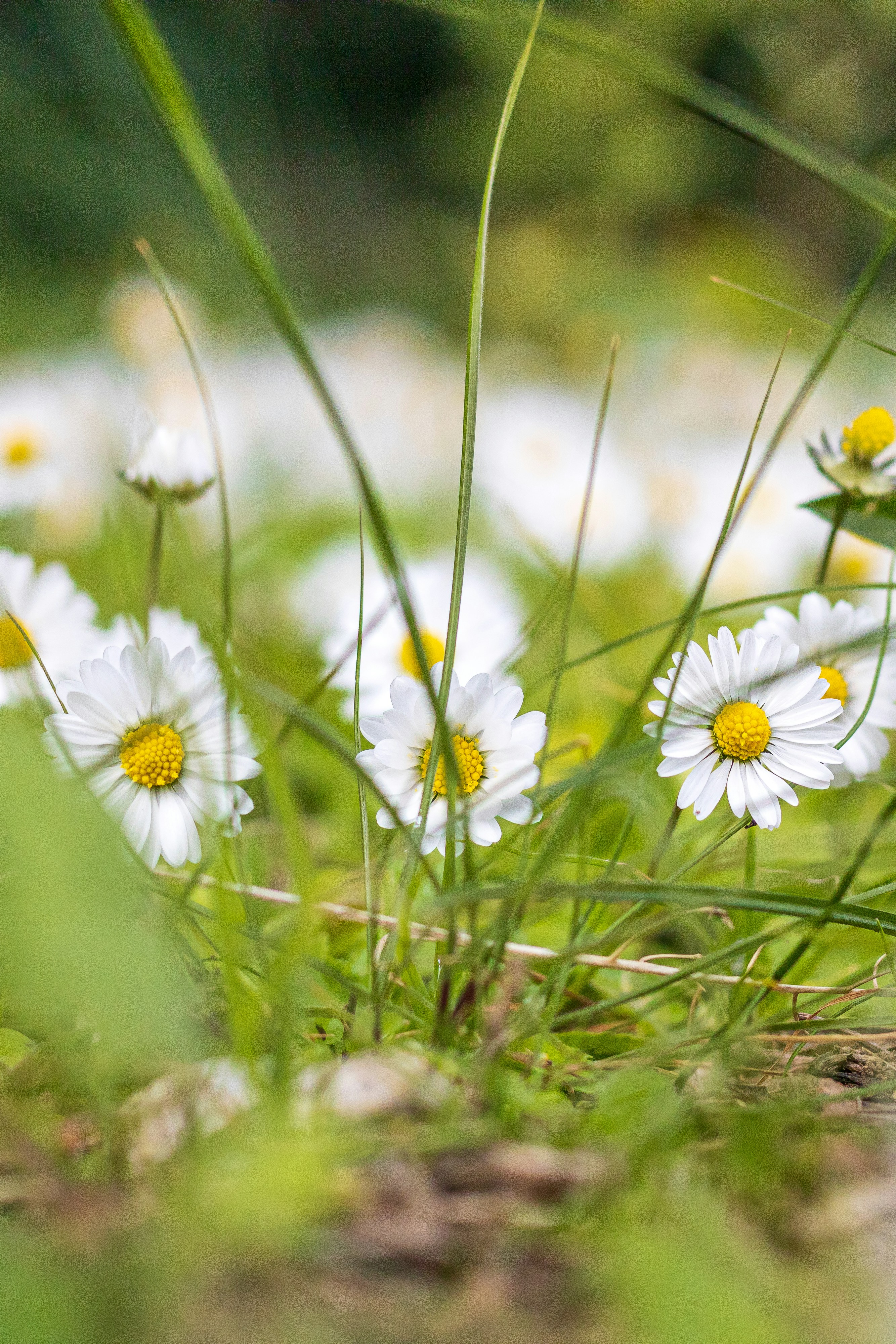 Photo by hellenicsun