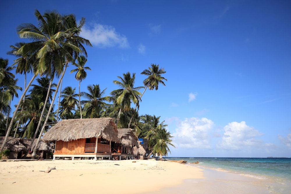 brown nipa hut on beach during daytime