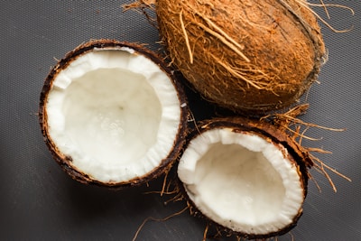 Coconut botanical illustration