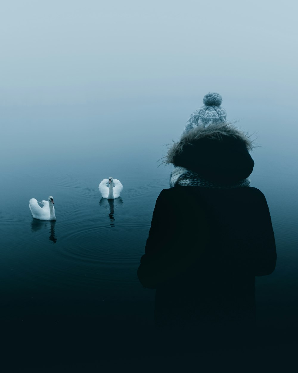 woman in black coat standing in front of white and black birds